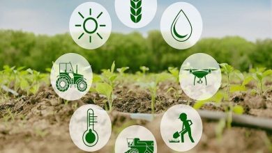 بدهی ۵ میلیارد دلاری دولت به واردکنندگان نهادههای دامی و تهدید امنیت غذایی / نهادههای دامی , بدهی دولت , امنیت غذایی , قیمتگذاری دستوری , واردات