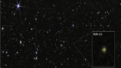 کشف کهکشانی متعلق به 280 میلیون سال پس از مهبانگ توسط تلسکوپ جیمز وب / تلسکوپ جیمز وب , کهکشان اولیه , مهبانگ , اخترشناسی , کیهانشناسی