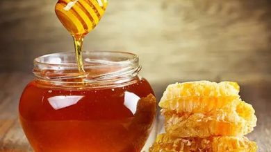 عسل عناب خراسان جنوبی فراتر از استانداردهای جهانی / اخبار خراسان جنوبی - اخبار استانها