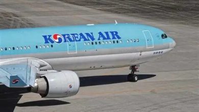 ممنوعیت استفاده از پاوربانک در پروازهای کرهجنوبی / پرواز , کرهجنوبی , پاوربانک , ایمنی , هواپیمایی