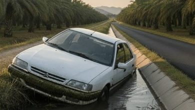 سقوط خودروی به کانال آب در دشتستان یک کشته بر جای گذاشت / اخبار بوشهر - اخبار استانها