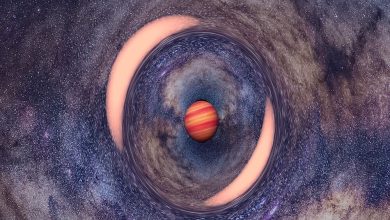 اندازهگیری جرم نخستین سیاره سرگردان در کهکشان راهشیری / سیاره سرگردان , کهکشان راهشیری , اخترفیزیک , تلسکوپ گایا , نانسی گریس رومن