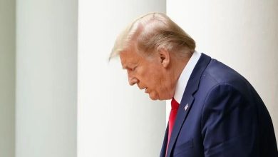 ترامپ بار دیگر با مواضعی گستاخانه از اغتشاشگران در ایران حمایت کرد / ترامپ , حمایت از اغتشاشگران , دخالت آمریکا در ایران , نقض حاکمیت ملی , روابط ایران و آمریکا