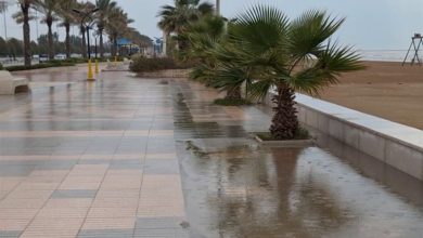 بارش پراکنده و مواج شدن خلیج فارس در استان بوشهر / اخبار بوشهر - اخبار استانها