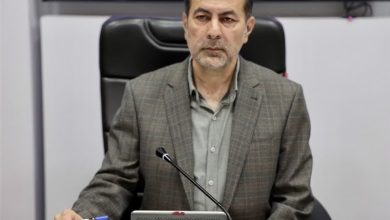 حمایت دولت از صنعتگران و هنرمندان صنایع دستی در خراسان جنوبی / اخبار خراسان جنوبی - اخبار استانها