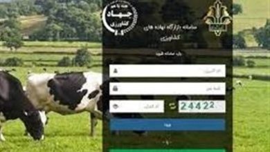 امکان خرید نامحدود نهادههای دامی در سامانه بازارگاه / اخبار خراسان شمالی - اخبار استانها