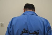 دستگیری فردی که در شاهرود مردم را به اغتشاش دعوت میکرد / اخبار سمنان - اخبار استانها