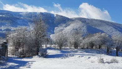 برف، کولاک و یخبندان خراسان جنوبی را در بر میگیرد / اخبار خراسان جنوبی - اخبار استانها