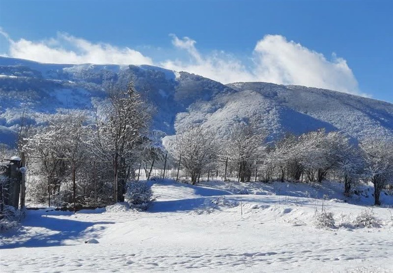 برف، کولاک و یخبندان خراسان جنوبی را در بر میگیرد / اخبار خراسان جنوبی - اخبار استانها