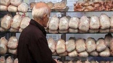 قیمت مرغ در خراسان جنوبی از پایینترین نرخهای کشور است / اخبار خراسان جنوبی - اخبار استانها