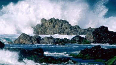 تردد انواع شناورها در بنادر کیش ممنوع شد / اخبار جزایر خلیج فارس - اخبار استانها