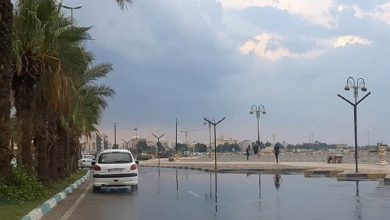 متلاطم شدن سواحل خلیج فارس در استان بوشهر / اخبار بوشهر - اخبار استانها