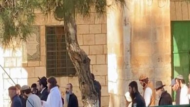 یورش دهها شهرکنشین صهیونیست به مسجدالاقصی تحت حمایت نظامیان رژیم اشغالگر / مسجدالاقصی , شهرکنشینان صهیونیست , رژیم اشغالگر قدس , فلسطین , وزارت اوقاف فلسطین