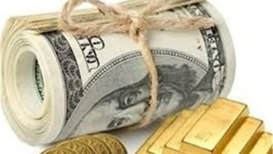 دفاتر شرکتهای دولتی به استانها منتقل میشود / اخبار یزد - اخبار استانها