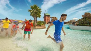 چالشی به نام نیروی انسانی فاقد مهارت کافی در گردشگری کیش / اخبار جزایر خلیج فارس - اخبار استانها