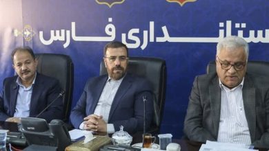 تشکیل کارگروه ویژه برای راهاندازی منطقه ویژه اقتصادی فسا / اخبار فارس - اخبار استانها