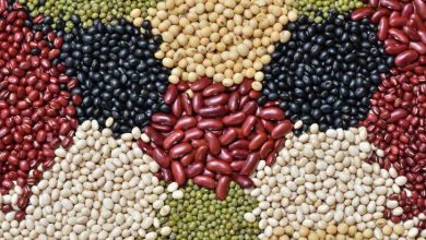 جزئیات جدید از قیمت حبوبات در بازار / , , , ,