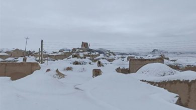 خراسان جنوبی سفیدپوش شد/آمادهباش کامل راهداران و پلیس راه / اخبار خراسان جنوبی - اخبار استانها
