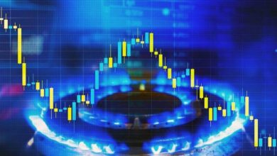 مصرف بیسابقه گاز در بخش خانگی/همراهی مردم ضروری شد / , , , ,