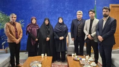 لزوم استفاده خبرنگاران شناسنامهدار از اینترنت سفید / اخبار اردبیل - اخبار استانها