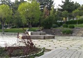 افزایش سرانه فضای سبز به 15 متر یک تکلیف قانونی برای شهرداران است / اخبار کرمانشاه - اخبار استانها