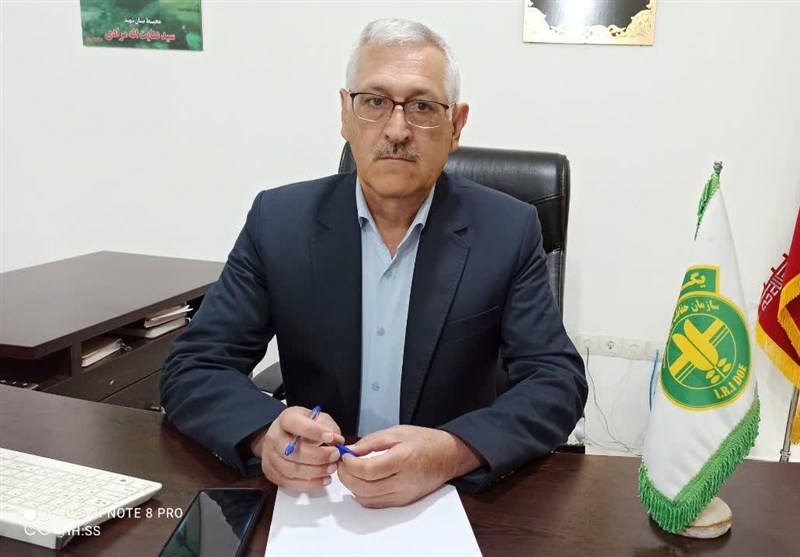 محیط زیست 4 میلیارد تومان بابت خسارت خرس و پلنگ پرداخت کرد / اخبار کهگیلویه و بویراحمد - اخبار استانها