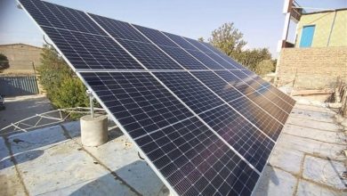 100 مگاوات به ظرفیت تولید برق خورشیدی بوشهر اضافه میشود / اخبار بوشهر - اخبار استانها