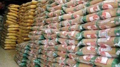 توزیع 103 تن برنج در بوشهر با اجرای طرح کالابرگ الکترونیکی / اخبار بوشهر - اخبار استانها