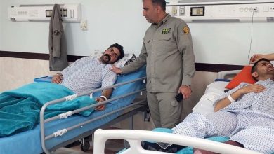 مصدومیت 2محیطبان پارک ملی تندوره در درگیری با شکارچیان غیرمجاز / اخبار خراسان رضوی - اخبار استانها