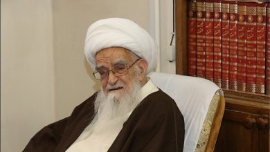 «مهدویت» محور اندیشههای مرحوم آیتالله صافی گلپایگانی / اخبار قم - اخبار استانها