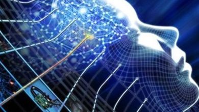 نوجوانان، شبکههای اجتماعی و مهندسی هیجان در اغتشاشات / اخبار استان تهران - اخبار استانها