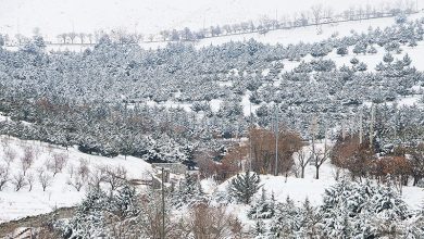 برف آمد، برق رفت، راهها بسته ماند؛ روستاها چرا هنوز در تاریکیاند؟ / اخبار کردستان - اخبار استانها