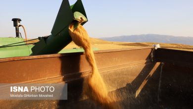 تخلیه و حمل یکسره گندم از کشتی با قطار / , , , ,