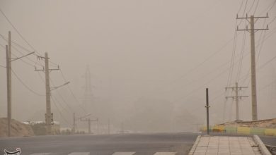 گرد و خاک شدید در جزایر هرمزگان؛ چگونه از سلامت خود محافظت کنیم؟ / اخبار جزایر خلیج فارس - اخبار استانها