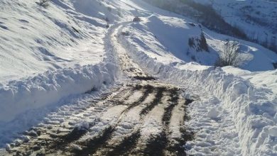 بیشترین برف خراسان جنوبی در نهبندان و آتشکده ثبت شد / اخبار خراسان جنوبی - اخبار استانها