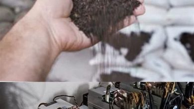 ضربه پلیس امنیت اقتصادی به قاچاقچیان / اخبار آذربایجان شرقی - اخبار استانها