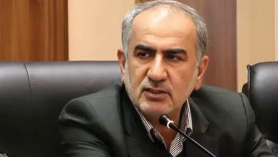 مردم در راهپیمایی 22 دی هوشمندانه از آسیب به نظام جلوگیری کردند / اخبار فارس - اخبار استانها