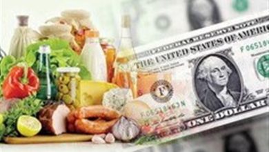 پیشنهادات بسیج دانشجویی درباره حذف ارز ترجیحی / اخبار سیاسی روز , اخبار دولت