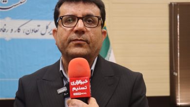 طرح جدید کالابرگ در 3900 فروشگاه استان بوشهر اجرا میشود / اخبار بوشهر - اخبار استانها