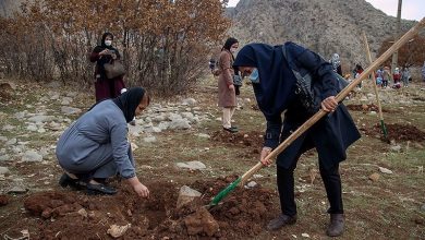 اجرای طرح 20 هکتار بادام کوهی در آران و بیدگل کلید خورد / اخبار کاشان - اخبار استانها