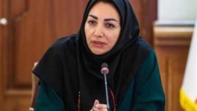 مدیریت علمی خلیج فارس شرط مقابله با پیامدهای تغییرات اقلیمی است / اخبار هرمزگان - اخبار استانها