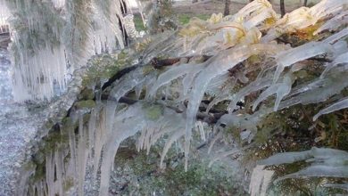 دمای هوای کردستان به 25 درجه زیر صفر میرسد / اخبار کردستان - اخبار استانها