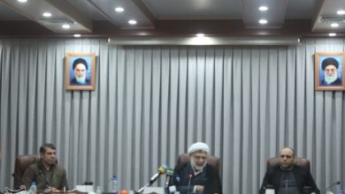 همایش بینالمللی «تحلیلهای اخلاقی حامیان جنین» در قم برگزار میشود / اخبار قم - اخبار استانها