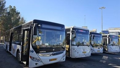 آغاز ترخیص هزاران تاکسی، اتوبوس و واگن برقی تهران از بندر شهید رجایی / اخبار هرمزگان - اخبار استانها