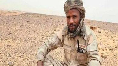 کشته شدن مشاور حمیدتی و همراهانش در حمله پهپادی ارتش سودان / سودان , دارفور , نیروهای واکنش سریع , حمیدتی , درگیریهای مسلحانه