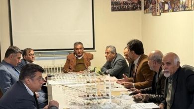 همصدایی دولت و بخش خصوصی برای عبور از گرههای تولید در فارس / اخبار فارس - اخبار استانها