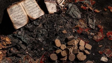 ایجاد هرج و مرج روش اغتشاشگران برای پیشبرد اهداف بود / اخبار اصفهان - اخبار استانها