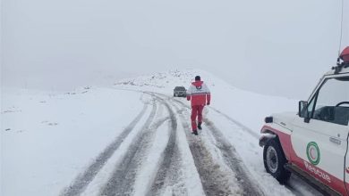 اوضاع برفی مناطق کوهستانی/ از سوادکوه تا هزارجریب نکا / اخبار مازندران - اخبار استانها