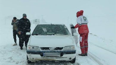 بارش سنگین برف در ارتفاعات هراز / اخبار مازندران - اخبار استانها