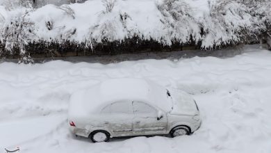 زمستان خاطرهسازِ دوباره در شمال/ مازندران سفیدپوش شد / اخبار مازندران - اخبار استانها